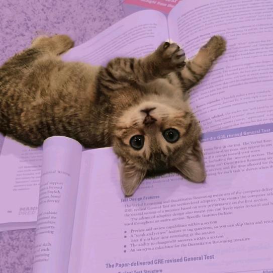 试作型神器森罗万象虫洞吞噬者mk_2