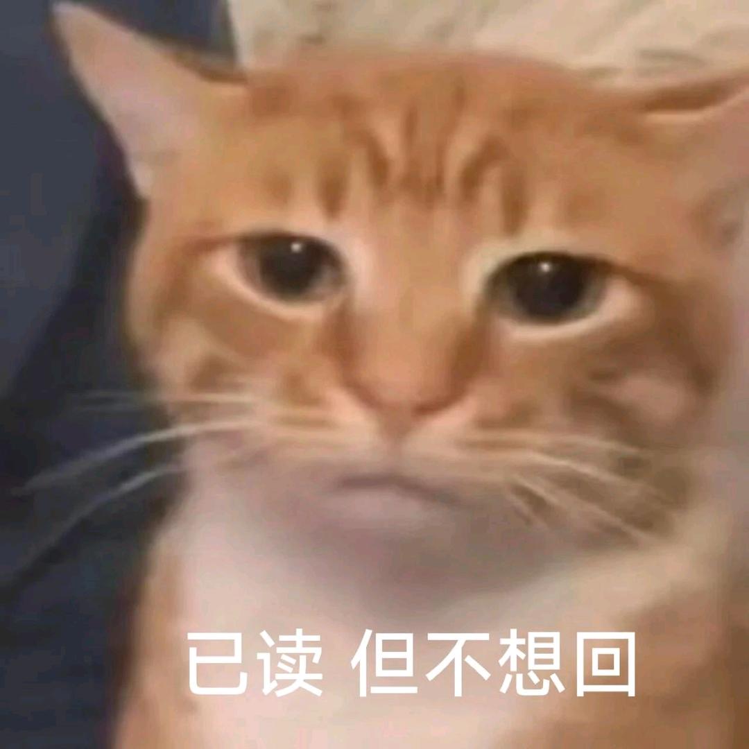已读不想回