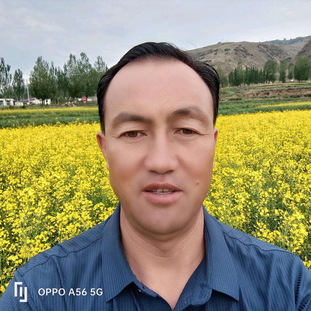 硖门花儿懒三😎