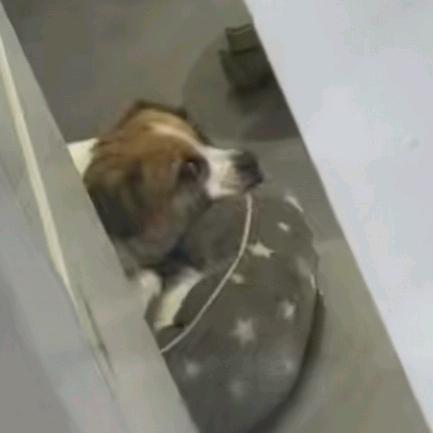 汤姆和杰瑞
