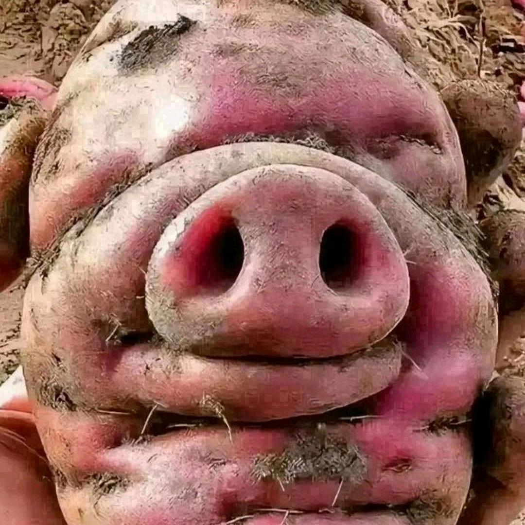 本人李幺叔！！！别人叫三哥。江湖一宛茶，