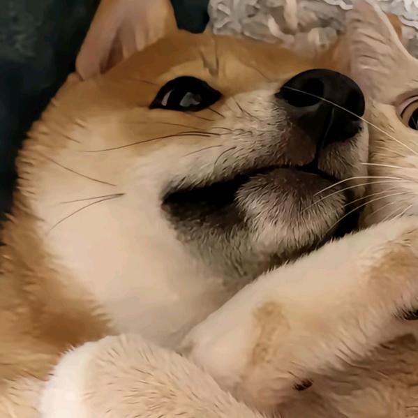 问本心