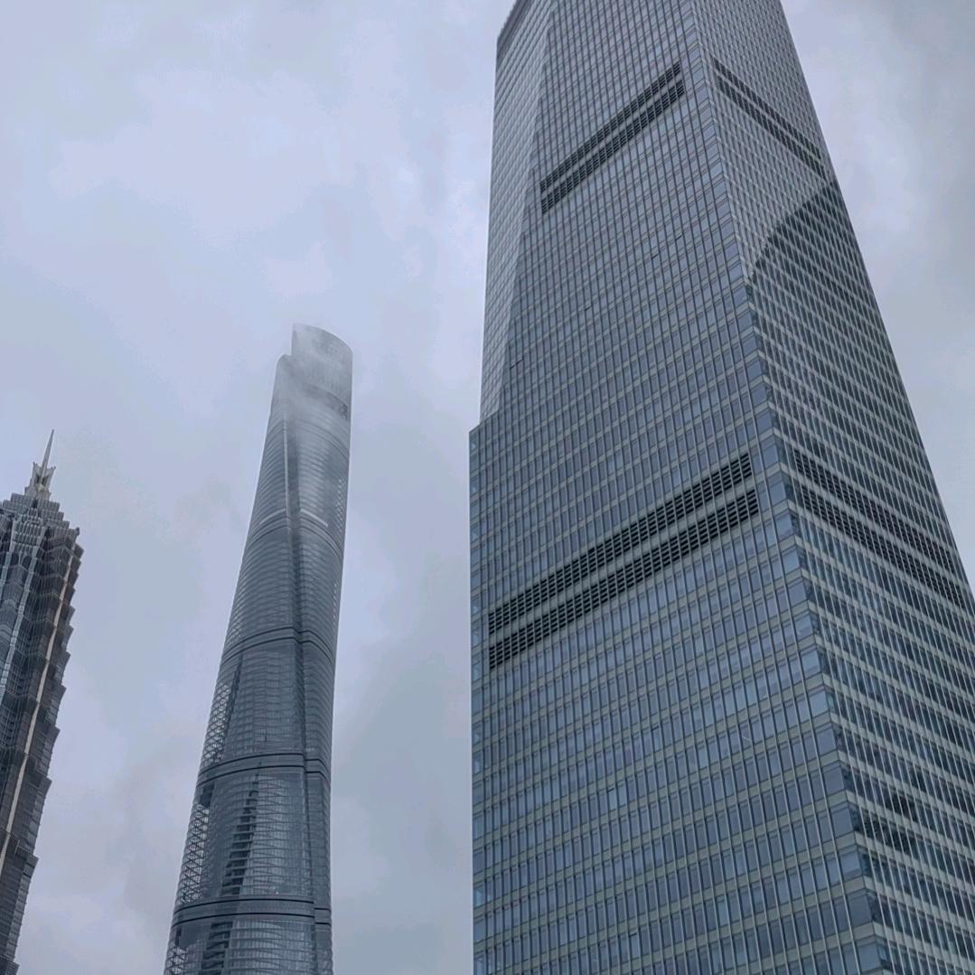 忘情、