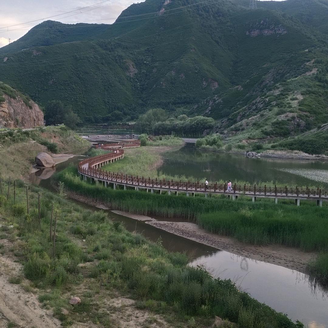 自由的风