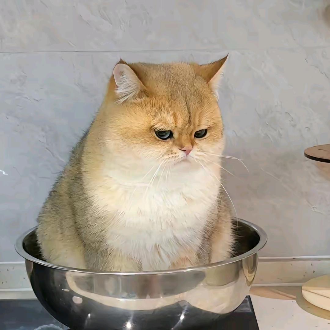 王成叔