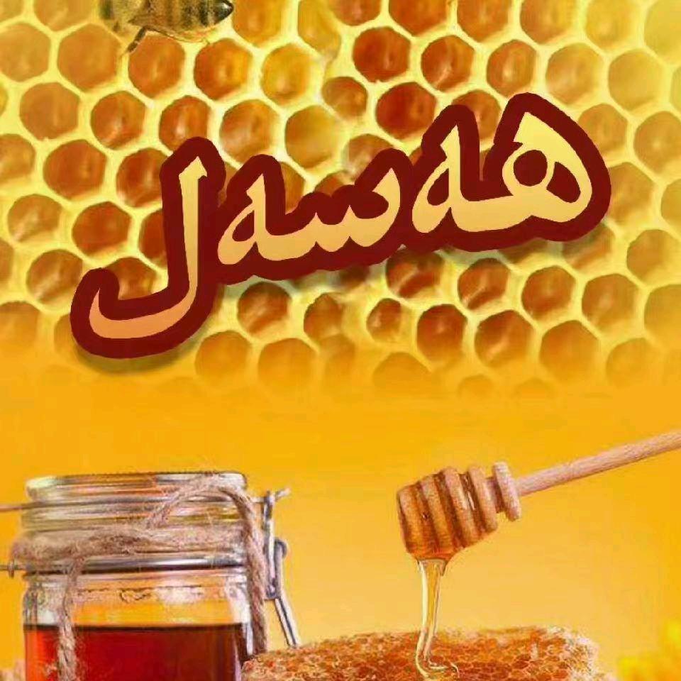 hasalqi 🐝🐝🐝
