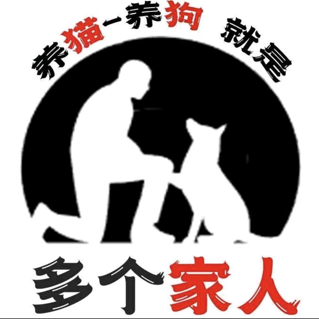 多个家人宠物店