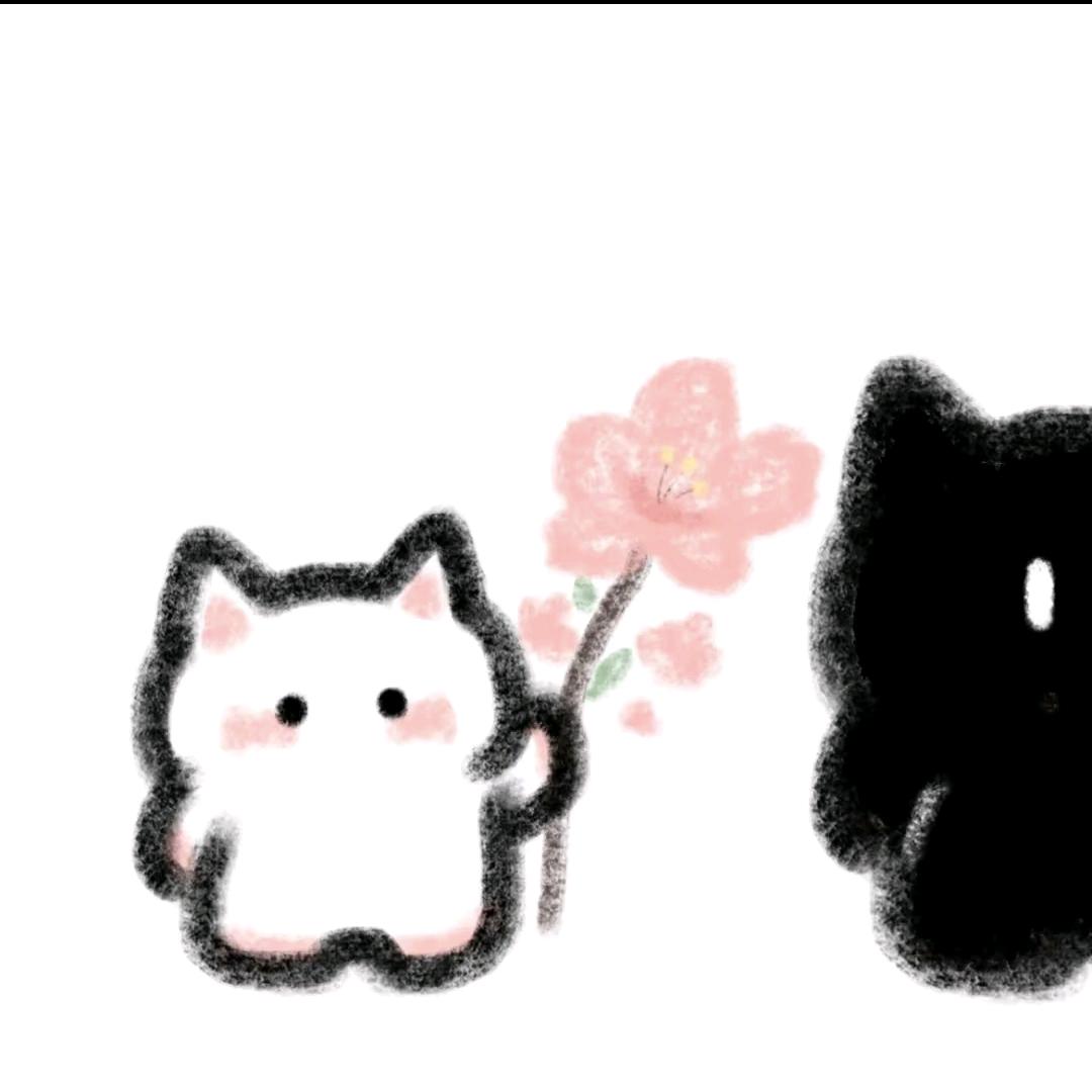 憨憨小猫