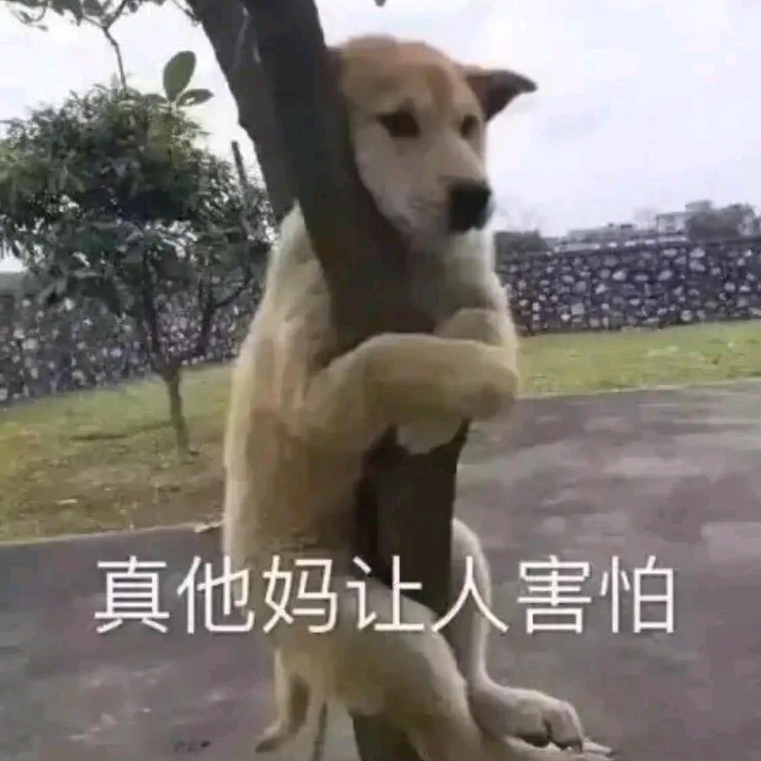 邦邦两拳