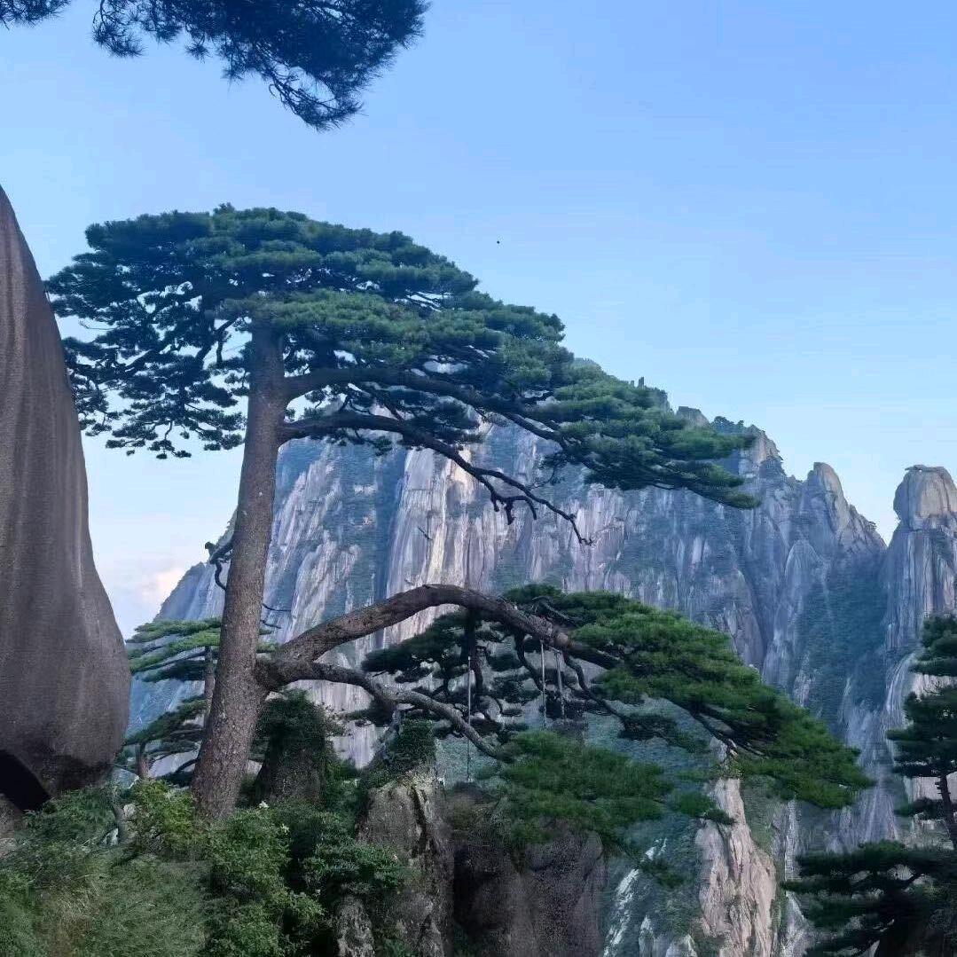 等待。