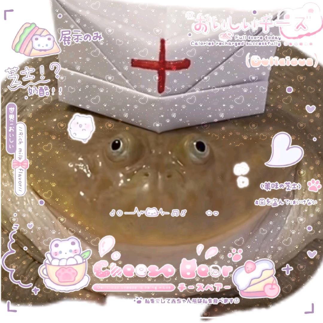 嘿嘿嘿猫警长