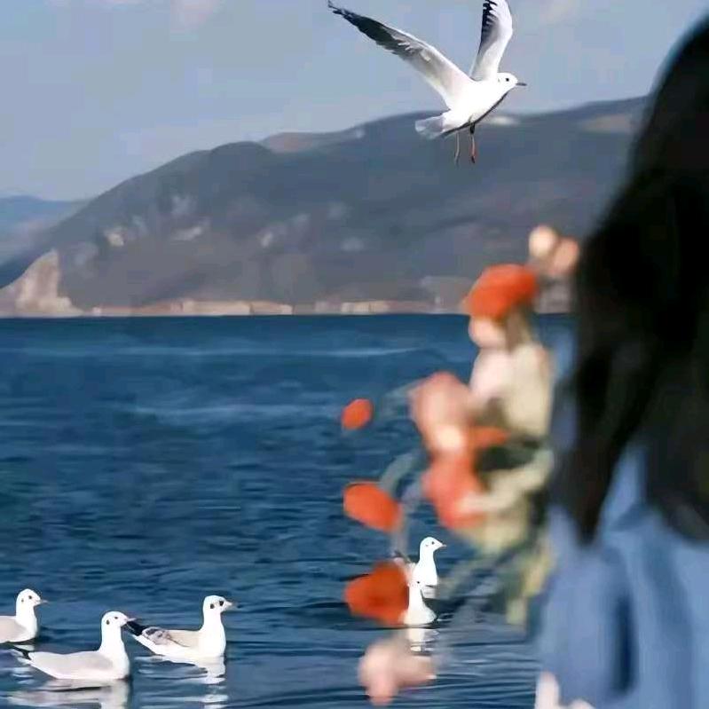 阳妮吖