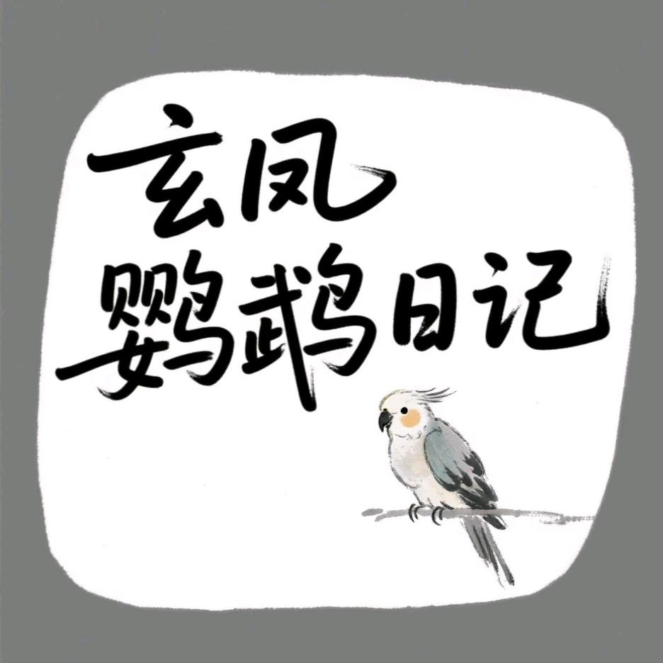 周口市郸城县玄凤鹦鹉日记