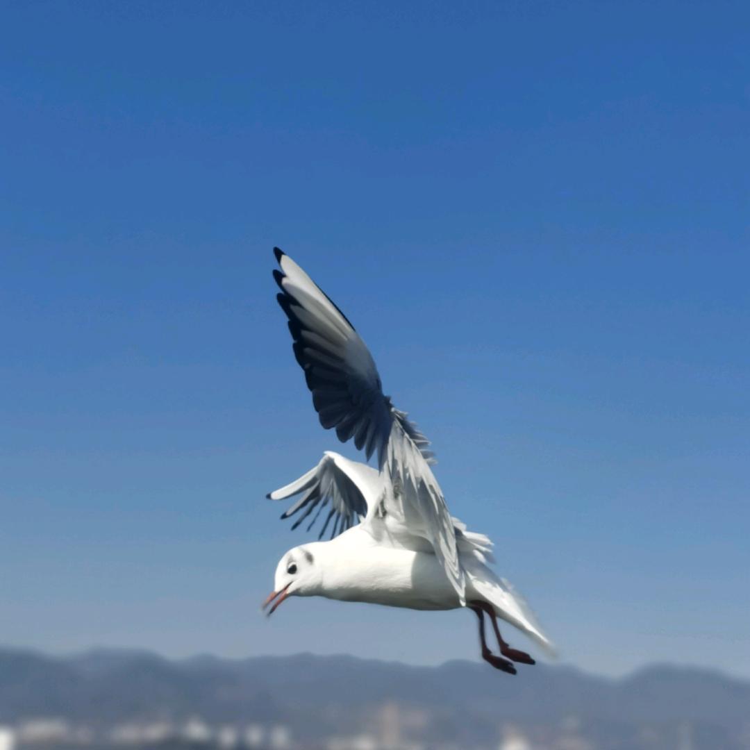 喜欢就是一个人的事