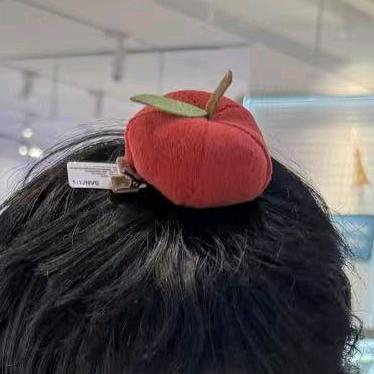 平准仪