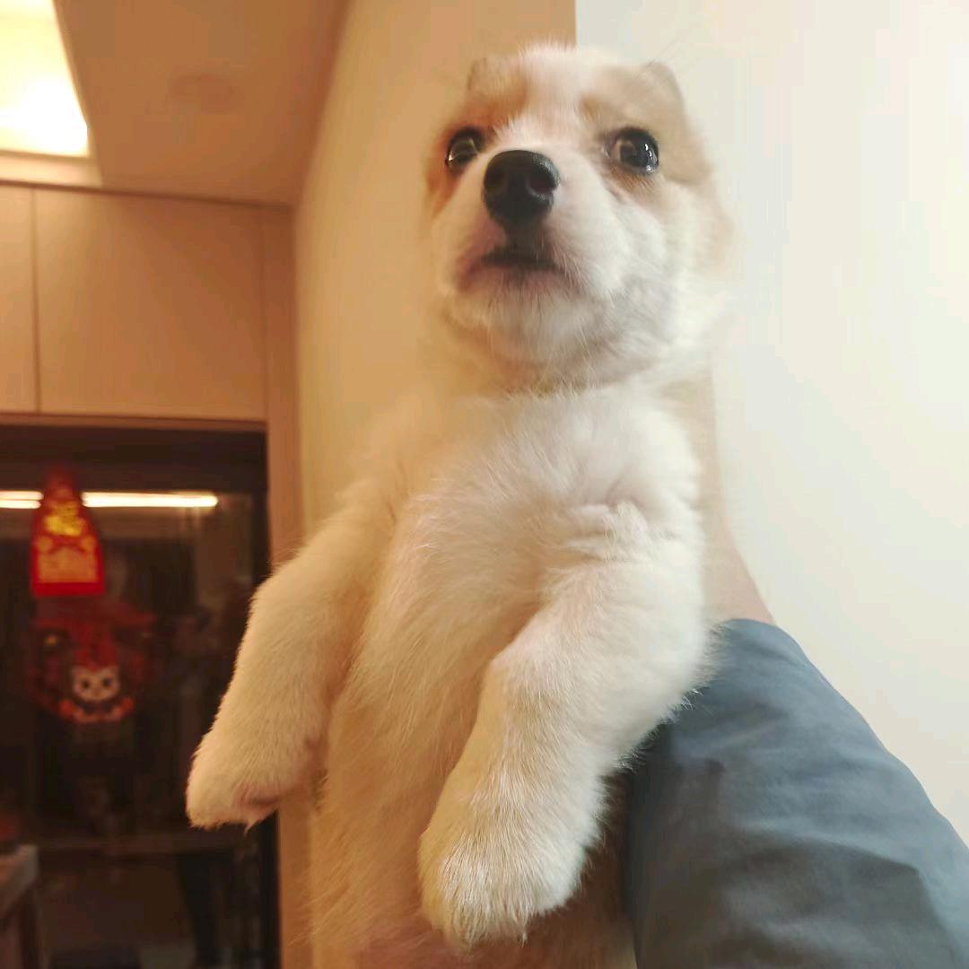 第一张照片