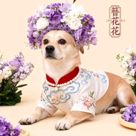 嫣琪语