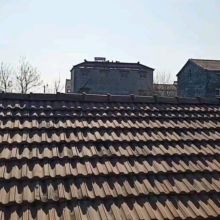 开心每一天.