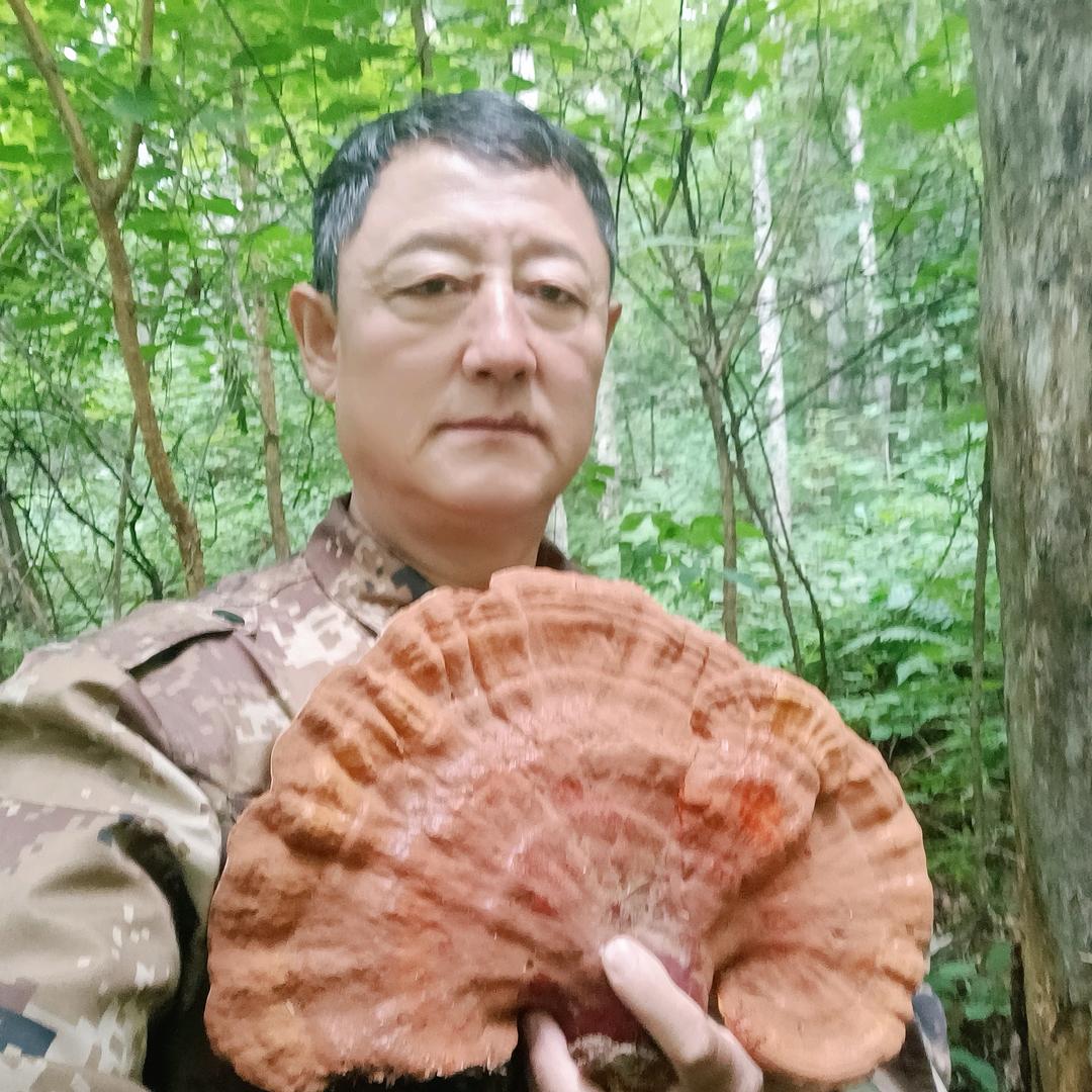 林区老陈的户外生活