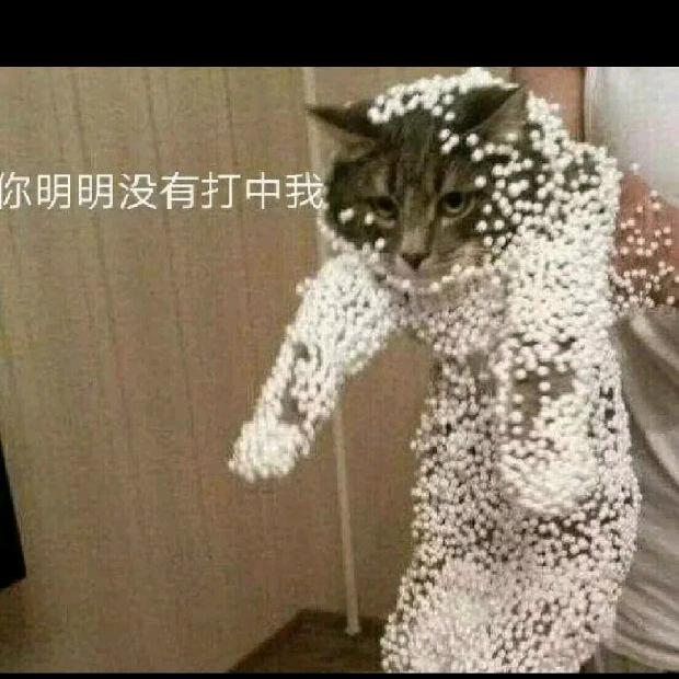 多林子
