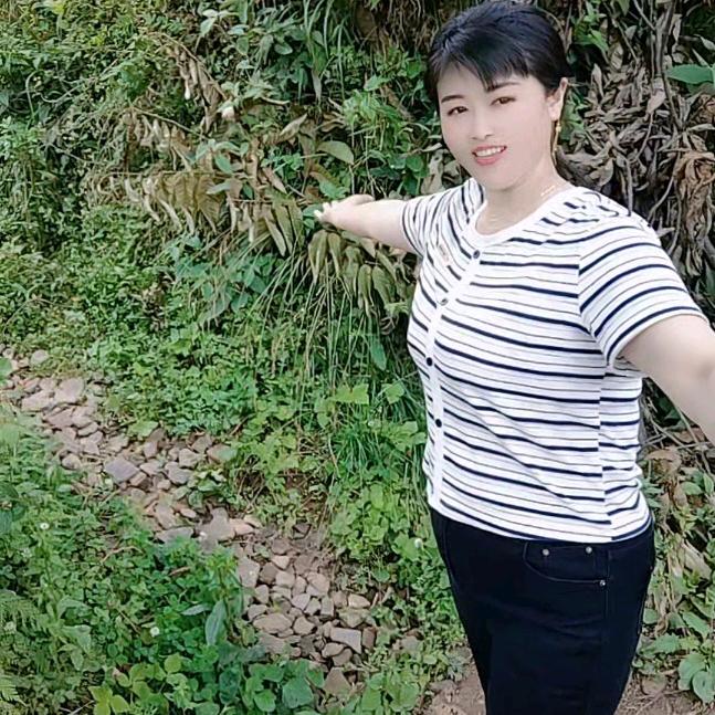 孤独的马
