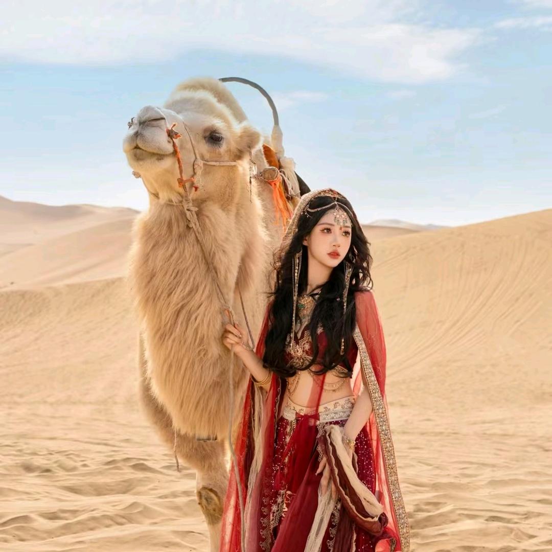 青甘环游记-遇见旅行