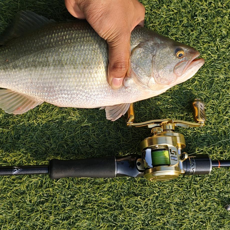阿耀不会钓🎣