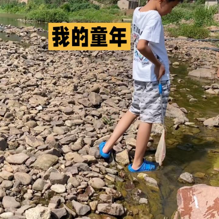 我童年的回忆