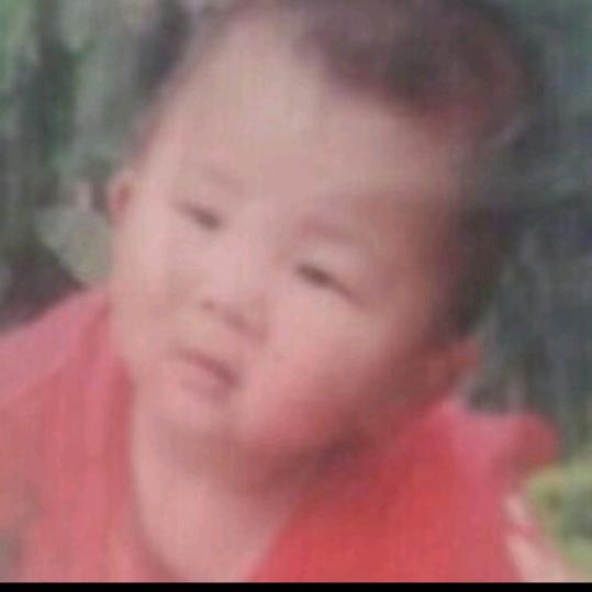 子毅子轩