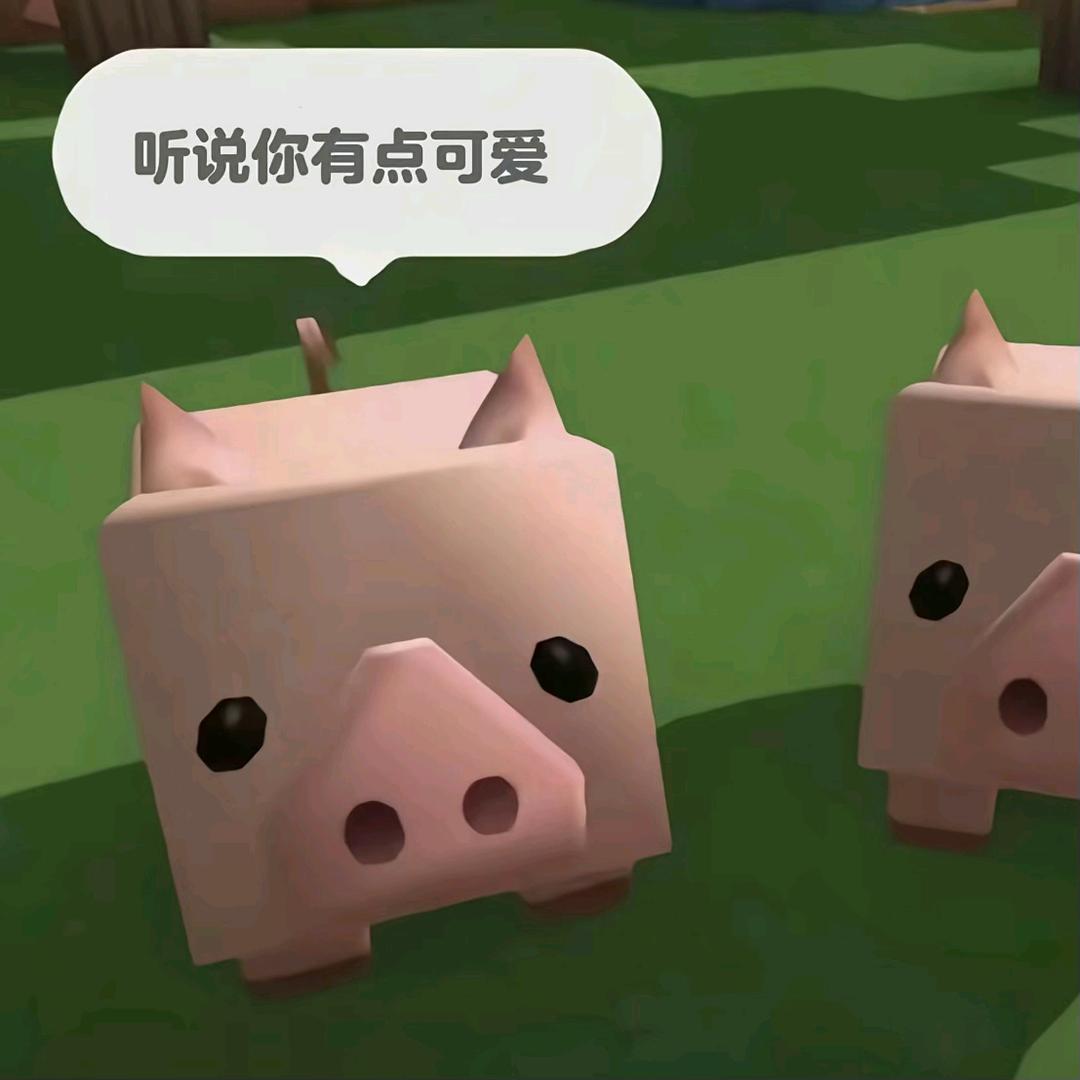 风茗曰