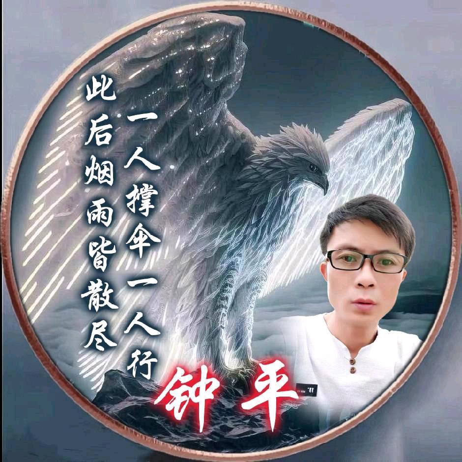 平生与我寂静欢