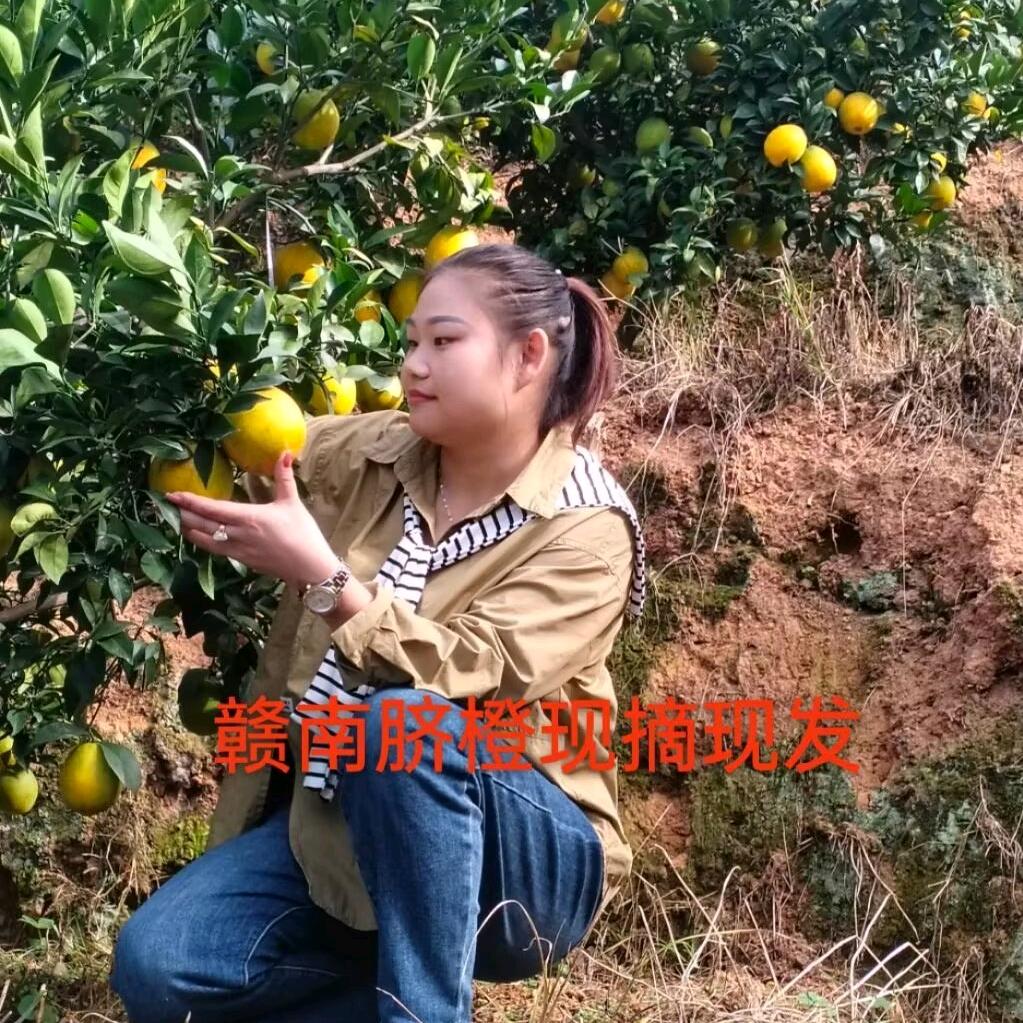 刘仙姑赣南脐橙