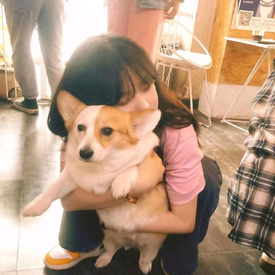 如果说、