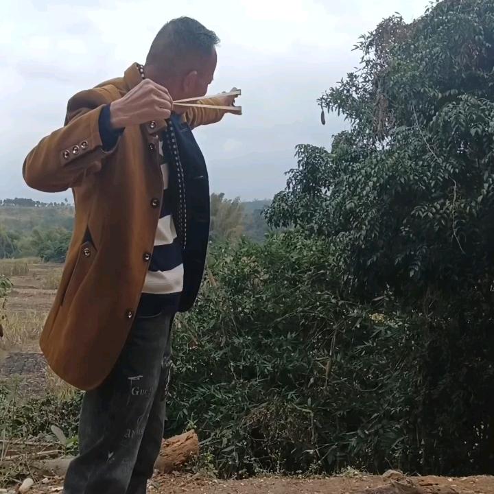 野马