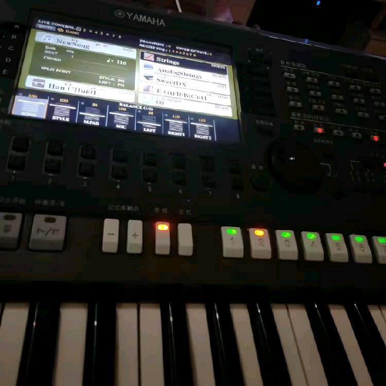 键盘🎹小牛