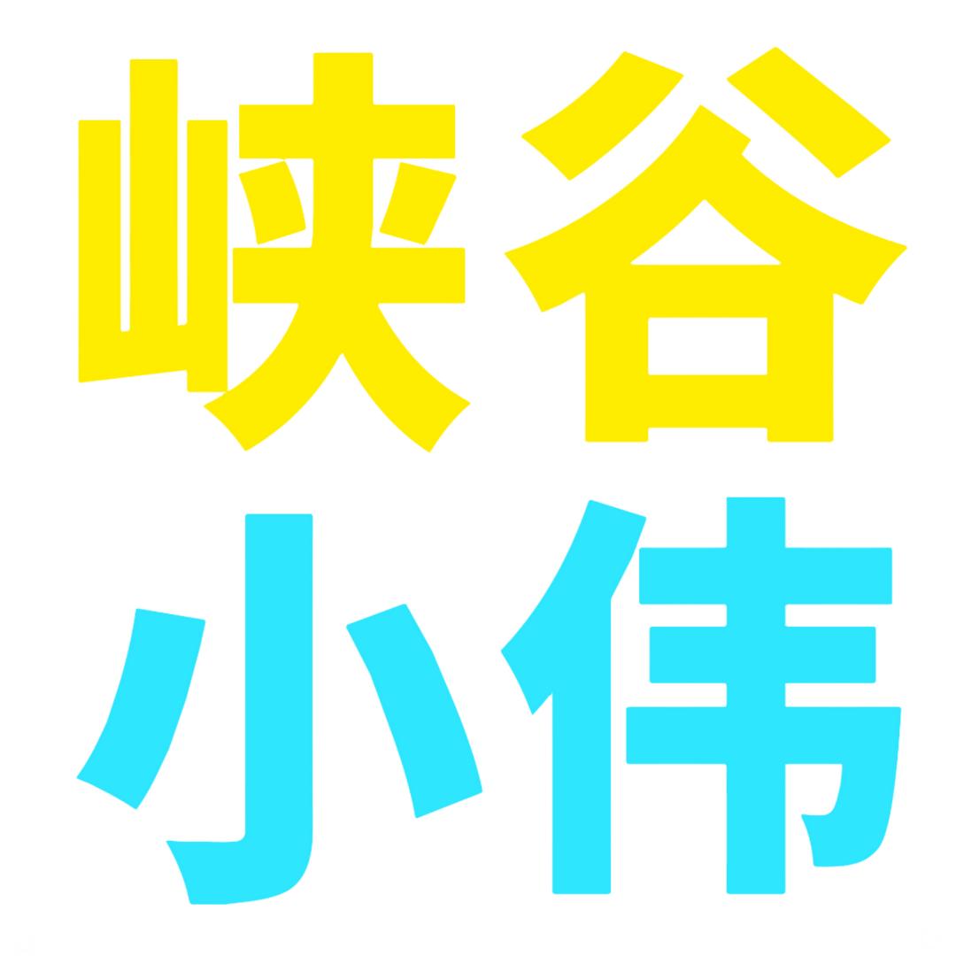 峡谷兄弟—小伟