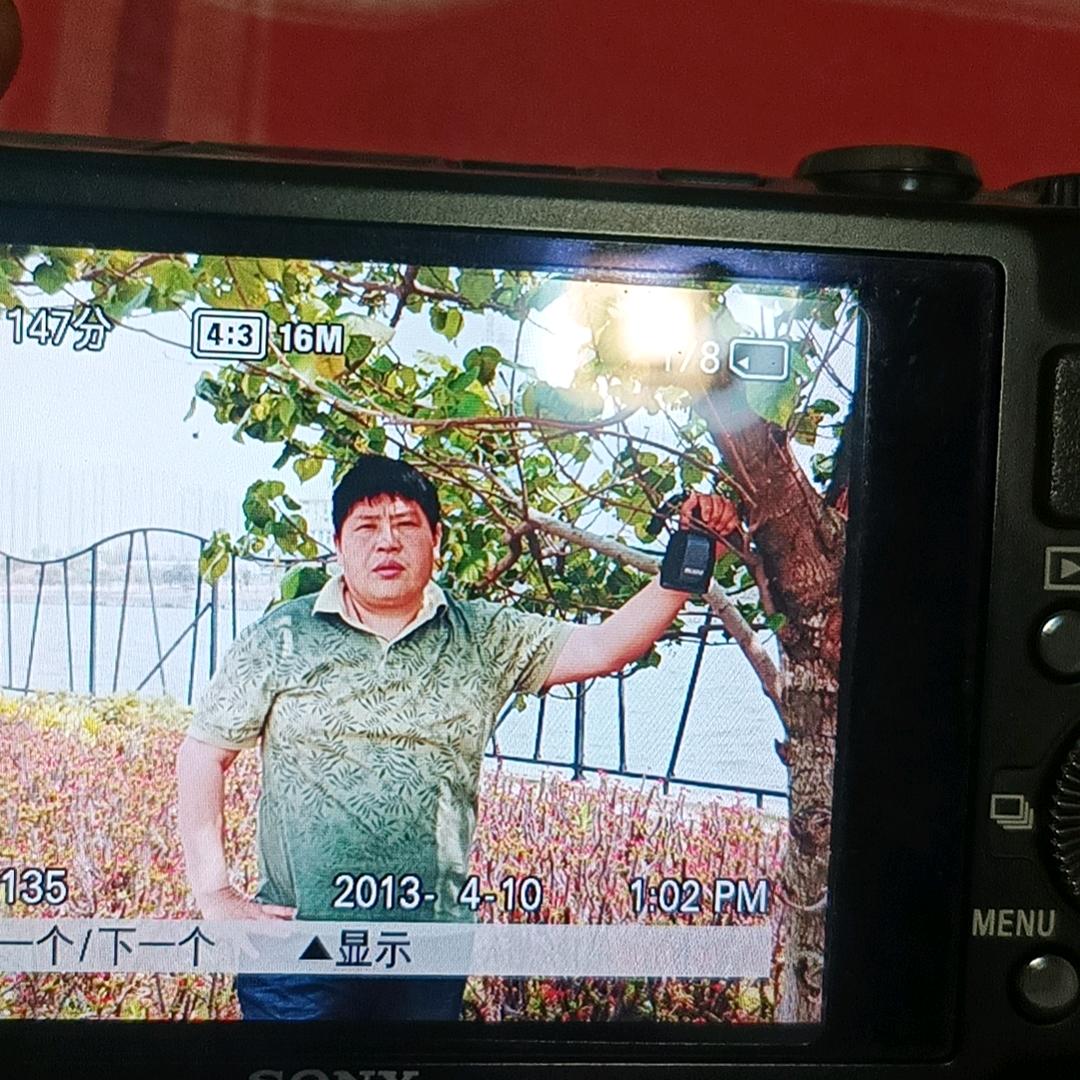 半城烟雨半城伤