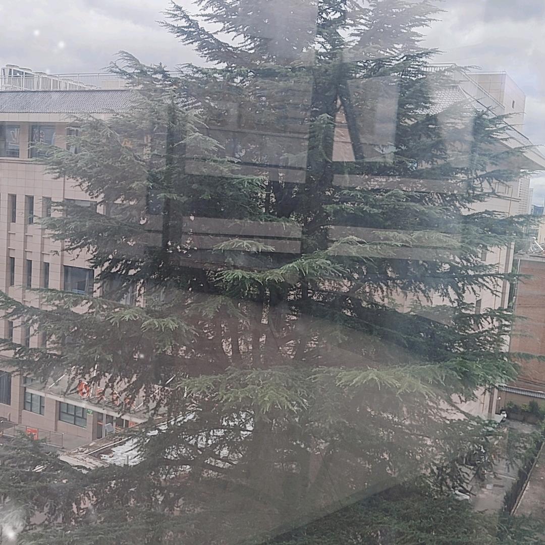 小张