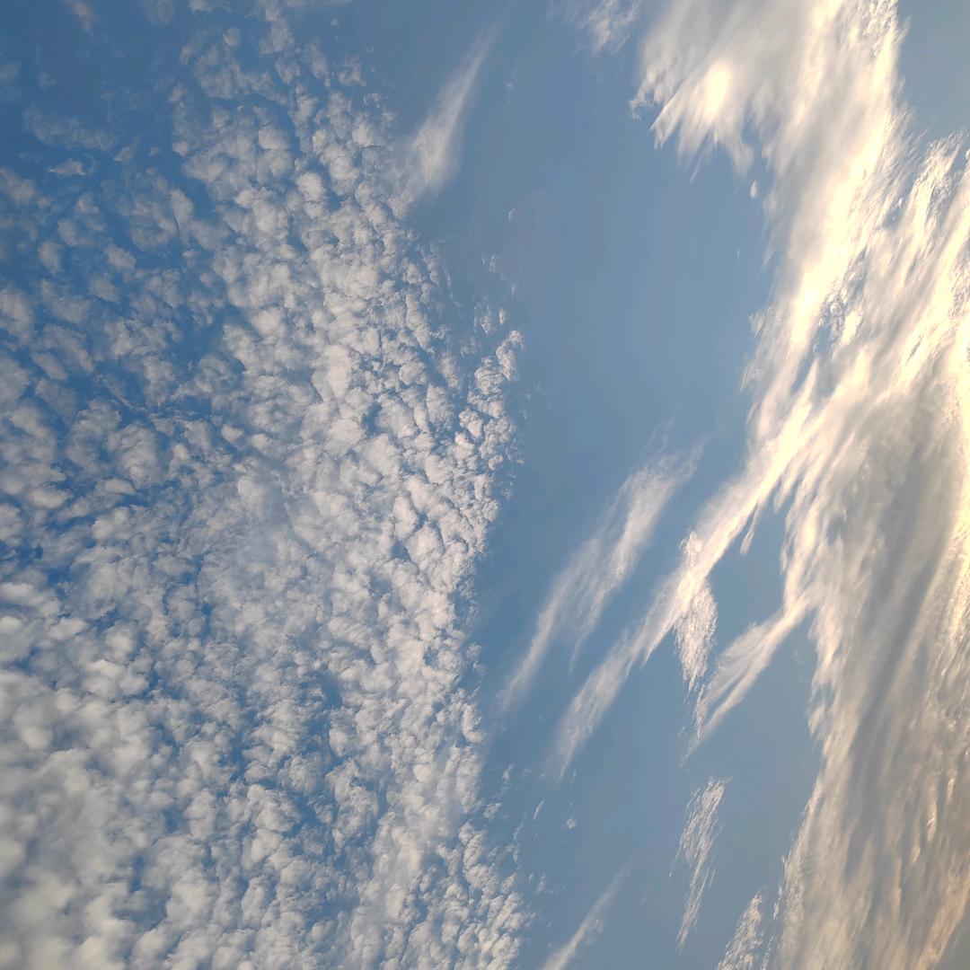 终极探究