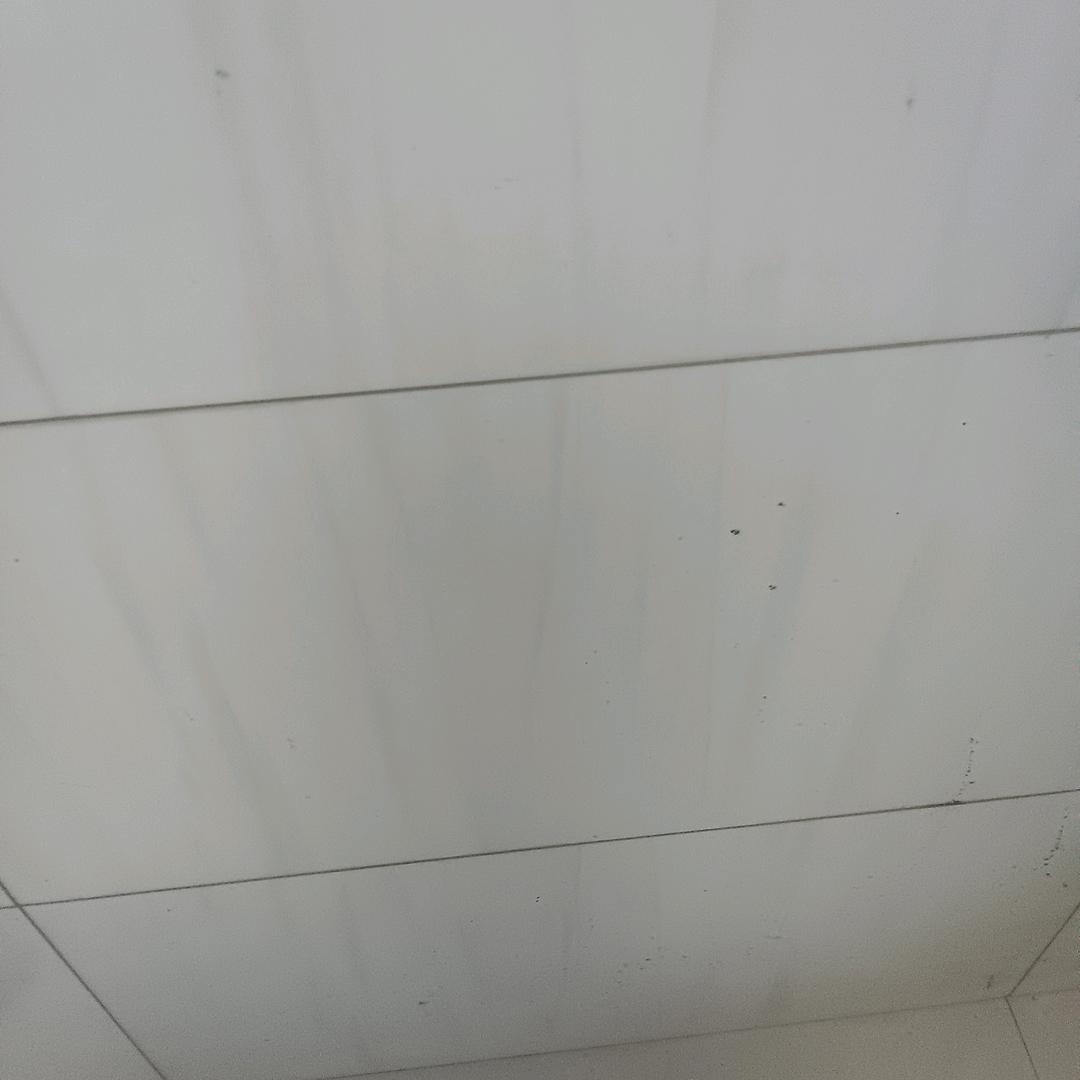 永不后悔