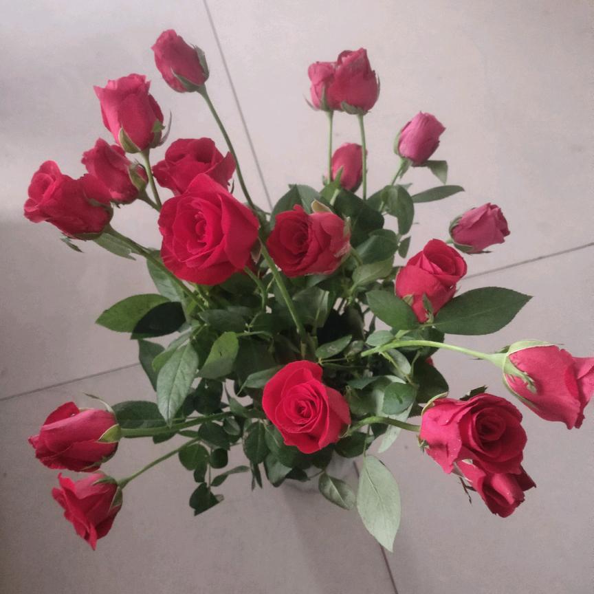 家有三千金～❤️静欣涵