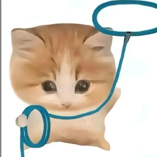 那艺娜的真爱粉