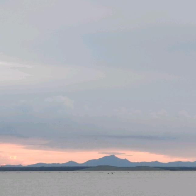 大鱼海棠