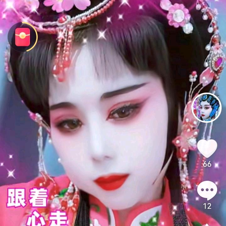 🌺🎋太阳花🌷🌹