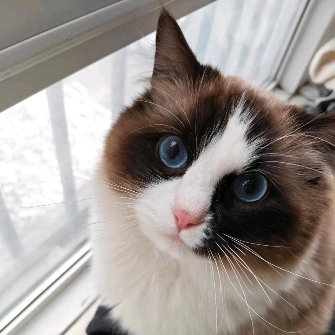 张无忧的幸福生活