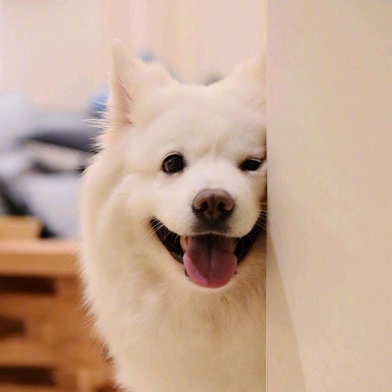 魏莱