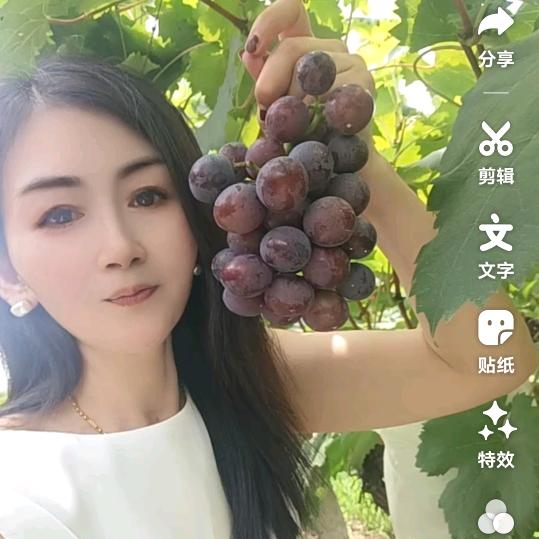 顺其自然