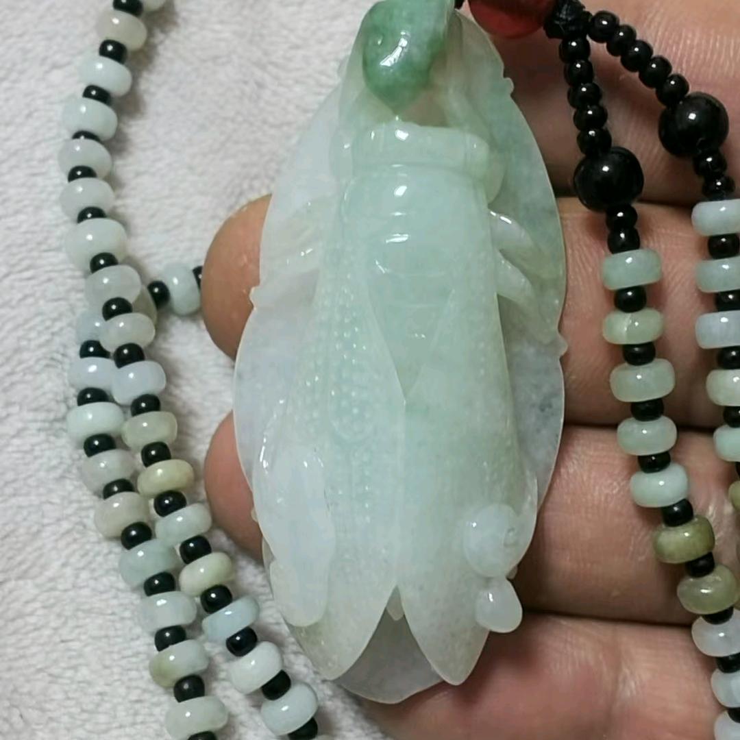 亳药汇