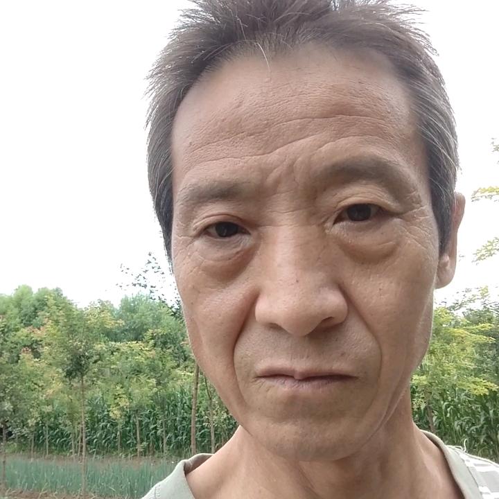 鱼儿