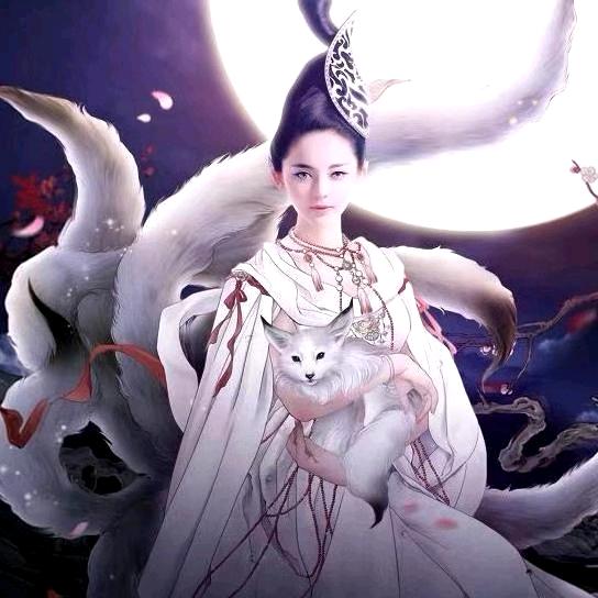 金菩提3